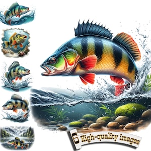 6 Barsch & Barsch Fisch Clipart PNG: Sofortiger Download Natur-Illustration für Angelfreunde