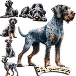 6 German Drahthaar Hunting Dog Clipart: Digital PNG Graphics for Decor and Instant Download