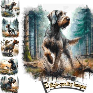 6 perros Drahthaar alemanes, perro de caza, clipart PNG, clip art de perro Drahthaar alemán, gráfico digital, descarga instantánea, decoración de caza