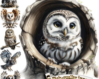 6 Images Owl, Owl Clipart PNG, Digital Graphic, Instant Download, Digital Download Graphic, Nature Illustration