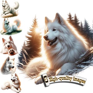 6 White Shepherd Dog, Dog Clipart PNG, White Shepherd Clipart, Digital Graphic, Instant Download
