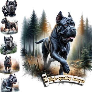 6 Cane Corso Dog, Cane Corso Clipart PNG files, Digital Graphic, Instant Download