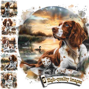 6 cani da caccia Epagneul Breton, Clipart di cani da caccia PNG, Clipart di Epagneul Breton, Grafica digitale, Download istantaneo, Decorazioni da caccia