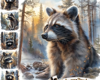 6 Cute Raccoon, Raccoon Clipart PNG, Digital Graphic, Instant Download, T-Shirt Design