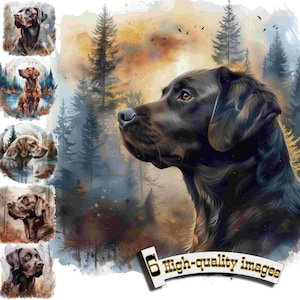 6 Labradores de caza, imágenes prediseñadas de perros de caza, imágenes prediseñadas de Labrador, gráficos digitales, descarga instantánea, decoración de caza