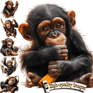 6 bedårande schimpanser Clipart PNG: Digital djurlivsgrafik för T-shirtdesign och omedelbar nedladdning