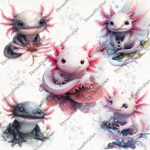12 clipart di Axolotl, simpatici PNG di Axolotl, fiori di margherita di Axolotl, sublimazione di ninfee, stampa di Axolotl, simpatici animali acquatici immagine 4