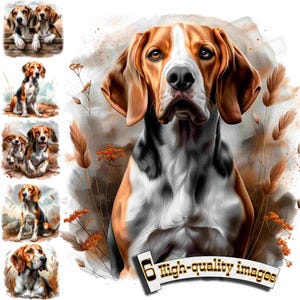 6 American Foxhound Hund, Jagdhund, American Foxhound Hund Clipart PNG, digitale Grafik, Instant Download, digitale Download Grafik,