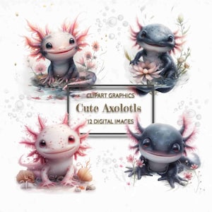 12 Axolotl Clipart, süßes Axolotl PNG, Axolotl Gänseblümchen Blumen, Seerosen Sublimation, Axolotl druckbar, süße Wassertiere