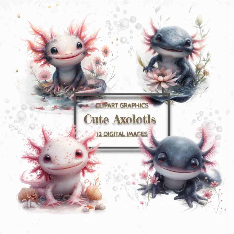 Pu&ograve; includere: Quattro illustrazioni digitali di simpatici axolotl. Due axolotl sono rosa con branchie rosa e due axolotl sono blu con branchie blu. Gli axolotl sono in pose diverse e circondati da fiori e bolle. Il testo "Clipart Graphics Cute Axolotls 12 Digital Images" &egrave; al centro dell'immagine.