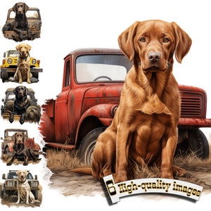 6 Labrador Hunting Dog, Clipart de Cão de Caça PNG, Clip Art de Labrador Preto, Gráfico Digital, Download Instantâneo, Decoração de Caça