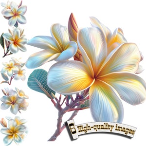 6 Plumeria flower Clipart, Plumeria Watercolor Flower, PNG di alta qualità - Download digitale, creazione di biglietti, tecniche miste, artigianato di carta digitale