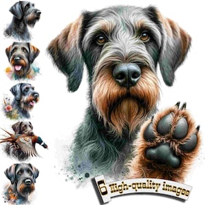 6 retratos de perro Drahthaar, imágenes prediseñadas de perro de caza, imágenes prediseñadas de perro Drahthaar, gráficos digitales, descarga instantánea, decoración de caza