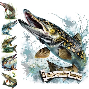6 Clipart poisson brochet, brochet clipart PNG, pêche, graphique numérique, téléchargement immédiat, brochet imprimable, conception par sublimation