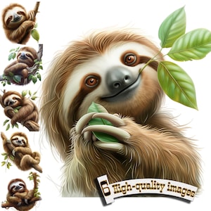 6 petits paresseux, paresseux Clipart PNG, graphique numérique, téléchargement immédiat, conception de T-shirt paresseux, art animalier