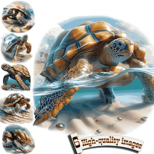 6 Meeresschildkröten Clipart, Meeresschildkröte PNG, Schildkröte im Meer, Schildkröte Sublimation, Schildkröte druckbar, niedliche Tiere