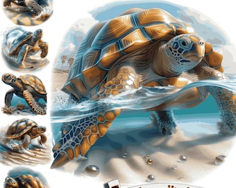 6 Meeresschildkröten Clipart, Meeresschildkröte PNG, Schildkröte im Meer, Schildkröte Sublimation, Schildkröte druckbar, niedliche Tiere