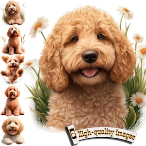 Chien Goldendoodle, Goldendoodle Clipart PNG, graphique numérique, téléchargement immédiat, téléchargement numérique graphique, Illustration de la nature