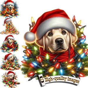 6 Cachorro Labrador de Natal, Clipart de Cachorro de Caça PNG, Clip Art de Cachorro Labrador, Gráfico Digital, Download Instantâneo, Decoração de Natal