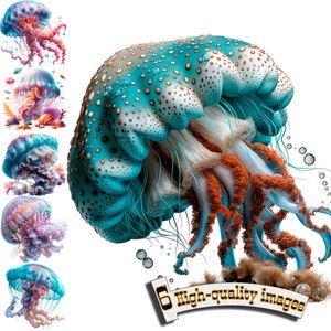 6 Jellyfish Clipart, Jellyfish PNG, Digital Graphic, Instant Download, Digital Download Graphic, Sea Illustration
