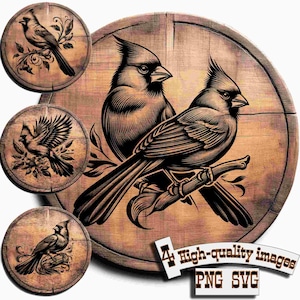 Pacchetto 4 Vettori di uccelli cardinali per la progettazione su legno, magliette, ardesia, tela, tazze, incisione laser. Design del tagliere, PNG/SVG