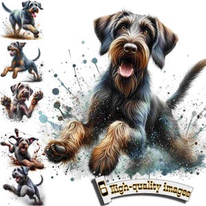 6 Drahthaar juguetón, perro de caza, clipart PNG, clip art de Drahthaar, gráfico digital, descarga instantánea, decoración de caza