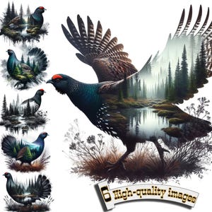 6 Esposizione doppia di gallo cedrone, acquerello di gallo cedrone, clipart di gallo cedrone, grafica digitale, grafica digitale scaricabile, stampa di gallo cedrone
