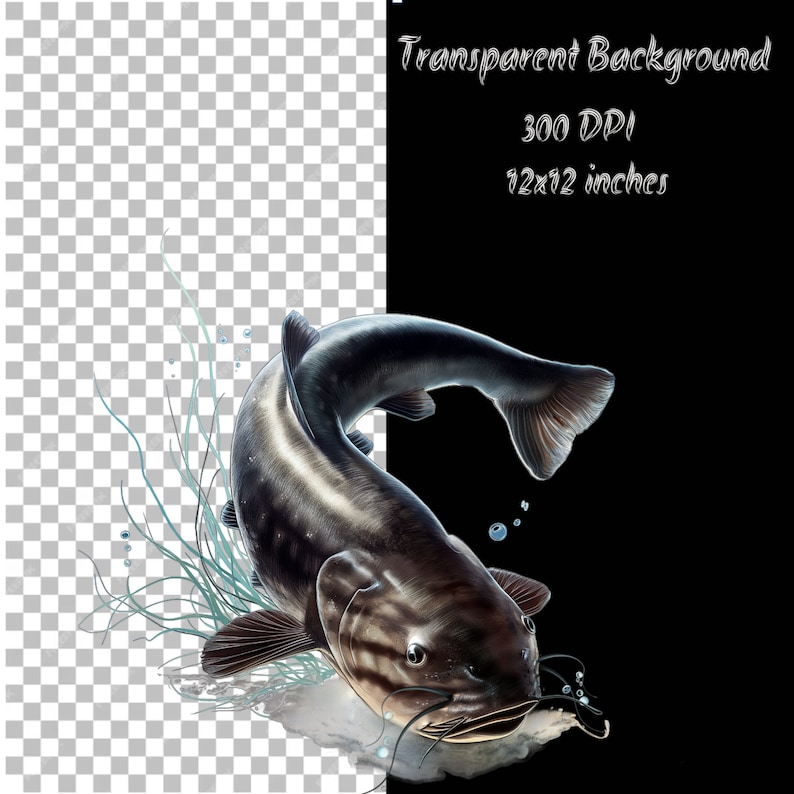 6 Catfish Clipart, Catfish Clipart PNG, Fishing, Digital Graphic ...