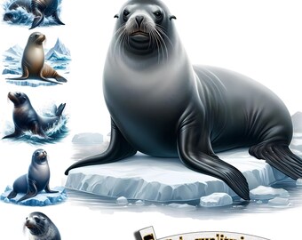 6 Cute Sea Lion clipart, Sea Lion PNG, Seal in the ocean, Sea Lion Sublimation, Sea Lion Printable, Cute Aquatic Animals