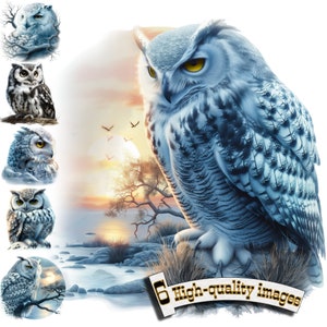 6 Bilder Eule, Eule Clipart PNG, digitale Grafik, Sofortiger Download, Digital Download Grafik, Natur Illustration