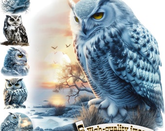 6 Images Owl, Owl Clipart PNG, Digital Graphic, Instant Download, Digital Download Graphic, Nature Illustration