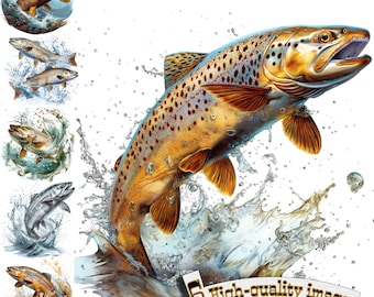 6 Trout Fish Clipart, Trout fish Clipart PNG, Fishing, Digital Graphic, Instant Download, Digital Download Graphic, Nature Illustration