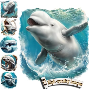 6 Beluga Whale Clipart, Beluga Whale PNG, Beluga Whale in the ocean, Beluga Whale Sublimation, niedliche Wassertiere