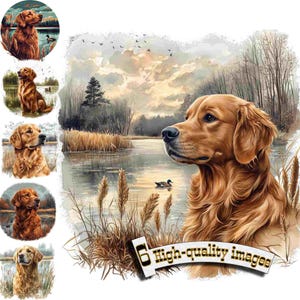6 perros de caza Golden Retriever, imágenes prediseñadas de perro de caza PNG, imágenes prediseñadas de Labrador, gráficos digitales, descarga instantánea, decoración de caza