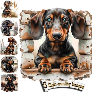 6 Dackel Hund Clipart: digitale PNG Grafik zum sofortigen Download & Dekor