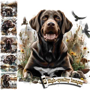 6 Labradores de caza, imágenes prediseñadas de perros de caza, imágenes prediseñadas de labrador negro, gráficos digitales, descarga instantánea, decoración de caza