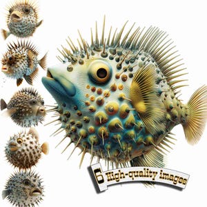 6 Pufferfish Clipart, Fancy fish PNG, Digital Graphic, Instant Download, Digital Download Graphic, Nature Illustration