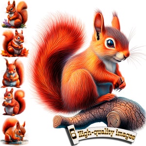 6 clipart écureuil, écureuil mignon Clipart PNG, graphique numérique, écureuil aérographe, écureuil dans les bois