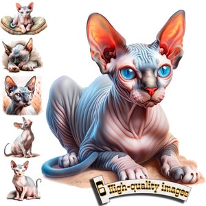 Puede incluir: Una colección de seis imágenes de alta calidad con gatos Sphynx. La imagen principal muestra un gato sin pelo con ojos azules y piel rosada, acostado. Las otras imágenes muestran al gato en varias poses, incluyendo sentado y descansando. El texto "High-quality images" es visible.