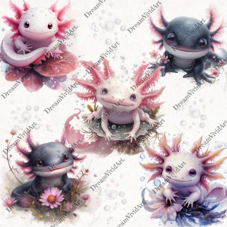 Pu&ograve; includere: Quattro illustrazioni digitali di axolotl, un tipo di salamandra, in varie pose. Ogni axolotl &egrave; circondato da bolle e fiori. Gli axolotl sono rosa e bianchi, neri e bianchi, e rosa e viola.