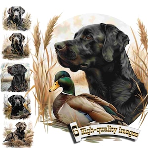 6 Labradores de caza, imágenes prediseñadas de perros de caza, imágenes prediseñadas de labrador negro, gráficos digitales, descarga instantánea, decoración de caza