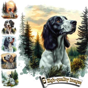 6 Setter inglese, cane da caccia Clipart PNG, ClipArt di Setter inglese, Grafica digitale, Download immediato, Decorazioni da caccia