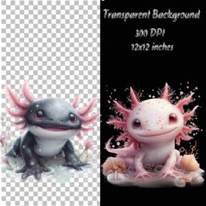 Pu&ograve; includere: Due illustrazioni digitali di axolotl. L'axolotl a sinistra &egrave; nero con branchie rosa e si trova su uno sfondo bianco. L'axolotl a destra &egrave; rosa con macchie nere e si trova su uno sfondo nero. Entrambi gli axolotl sorridono.