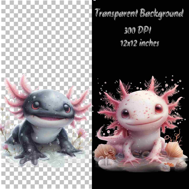 Pu&ograve; includere: Due illustrazioni digitali di axolotl. L'axolotl a sinistra &egrave; nero con branchie rosa e si trova su uno sfondo bianco. L'axolotl a destra &egrave; rosa con macchie nere e si trova su uno sfondo nero. Entrambi gli axolotl sorridono.
