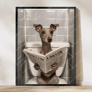May include: A framed wall art print featuring a grey Italian Greyhound sitting on a white toilet while holding and reading an open newspaper titled A Dog's Life. The background shows white rectangular bathroom tiles behind the toilet fixture.