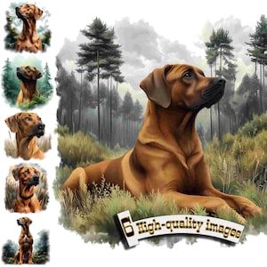 Puede incluir: Un perro Rhodesian Ridgeback marrón está acostado en un campo de hierba con árboles en el fondo. El perro está mirando hacia la derecha de la imagen. El perro tiene una cresta de pelo distintiva que recorre su espalda.