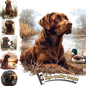 6 Labrador Retriever, Cão de Caça, Clipart de Cão de Caça PNG, Labrador Clip Art, Gráfico Digital, Download Instantâneo, Decoração de Caça
