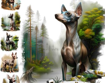 6 American Hairless Terrier Dog, Hairless Terrier PNG, Hairless Terrier ClipArt, Hairless Terrier T-Short, Digital Graphic, Instant Download