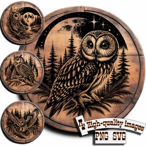May include: A black and white illustration of an owl perched on a branch in a forest setting. The owl has large, round eyes and detailed feathers. The background features trees and a crescent moon.