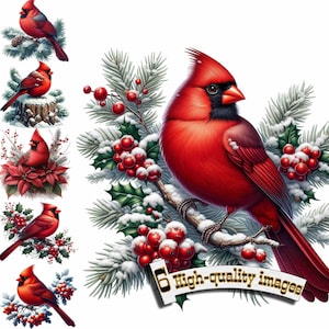 Conjunto de 6 clipart PNG de cardeal vermelho de Natal em aquarela - Arte de pássaro natalino para cartões de inverno e uso comercial